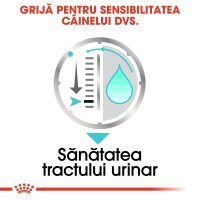 ROYAL CANIN Urinary Care Adult, hrană umedă câini, sănătatea tractului urinar, (pate), bax, 85g x 12buc - 5