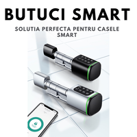 Butuc Smart Lock cu 5 Metode de Deblocare - Amprenta, Aplicatie Mobila si Cheie Mecanica - 2