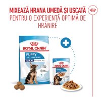 ROYAL CANIN Maxi Puppy, hrană umedă câini junior, (în sos), 140g - 8