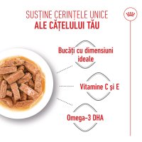 ROYAL CANIN Maxi Puppy, hrană umedă câini junior, (în sos), 140g - 5