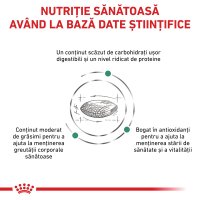 ROYAL CANIN VD Diabetic, hrana uscata pentru pisici cu diabet, 3.5kg - 7