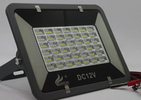 Mini proiector CaiCai 12V 30W CLESTI 75 LED - 1