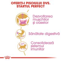 ROYAL CANIN British Shorthair Kitten, hrană uscată pisici junior, 10kg - 5