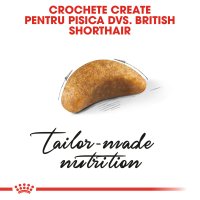 ROYAL CANIN British Shorthair Kitten, hrană uscată pisici junior, 10kg - 6