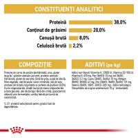 ROYAL CANIN British Shorthair Kitten, hrană uscată pisici junior, 10kg - 7