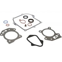 Set Garnituri Motor Briggs and Straton (Seriile 450, 500, 550 OHV) - 1