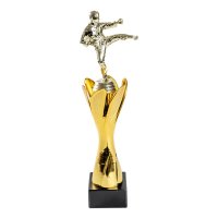 Trofeu MS91 pentru Arte Martiale - 27.5 cm - 1