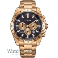 Ceas de mana Citizen Quartz AN8233-51E - Stil si Precizie - 1