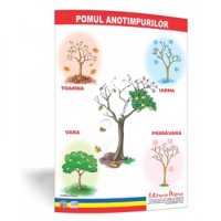 Pomul Anotimpurilor - Plansa Decorativa 50x70 - Proiecte Tematice Unice - 1