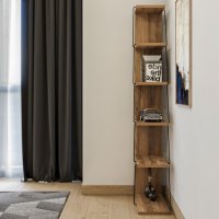 Biblioteca Tlos Pine-Negru - 2