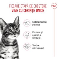 PROMO ROYAL CANIN Kitten Sterilised, hrană uscată pisici sterilizate junior, 2kg + 400g GRATUIT - 5