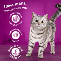 WHISKAS Adult, Ton, hrană uscată pisici, 14kg - 12