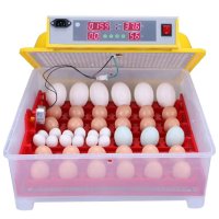 Incubator automat UNITEH 36/144 pentru oua de gaina, rata si prepelita - 2