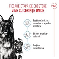 ROYAL CANIN Maxi Starter Mother & Babydog, mama și puiul, hrană uscată câini, 4kg - 4