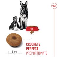 ROYAL CANIN Maxi Starter Mother & Babydog, mama și puiul, hrană uscată câini, 4kg - 6