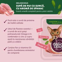 DELICKCIOUS Supă cu Pui și Șuncă pentru Pisici, 80g - 4