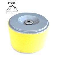 Filtru de Aer Honda  Gx240, Gx270 Everest - 1
