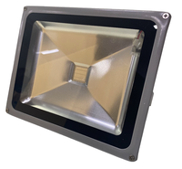Proiector RGB LED 30W Clasic IP65 6000K cu Telecomanda Mediu 22 x 18 cm - 1