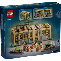 LEGO Harry Potter 76445 - Castelul Hogwarts: Lectia de ierbologie - 8