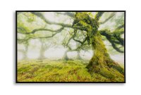 Pictura Mauro Ferretti pe Panza cu Rama, Design Modern, Padure, 90x4x58 cm | Aosom Romania - 1