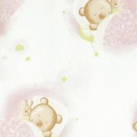 Sac de dormit toamna 1 tog Pink Bears Dream 70 cm - 2