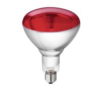 Bec Infrarosu 250 W Rosu Philips Albert Kerbl - 1