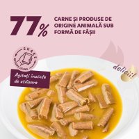 DELICKCIOUS Rață și Dovleac pentru Pisici, Hrană Umidă în Supă, 85g - 3