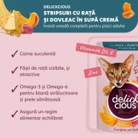 DELICKCIOUS Rață și Dovleac pentru Pisici, Hrană Umidă în Supă, 85g - 4