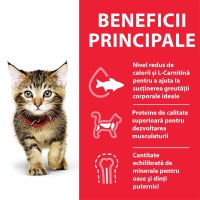 HILL'S Science Plan Kitten, Ton, hrană uscată pisici junior, 7kg - 4