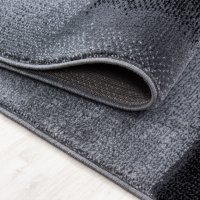 Covor Parma Negru V4 140x200 cm - 5