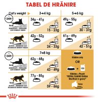 ROYAL CANIN British Shorthair Adult, hrană uscată pisici, 2kg - 8