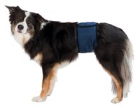 Banda (Incontinenta Urinara) Masculi S 29-37 cm Albastru 23661 - 1