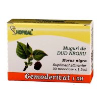 Muguri de dud negru, 30 monodoze, Hofigal - 1