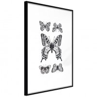 Poster - Butterfly Collection IV, cu Ramă neagră, 40x60 cm - 1
