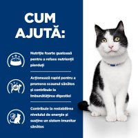 HILL'S Prescription Diet i/d Sensitive Digestive Care, Pui, dietă veterinară pisici, hrană uscată, sensibilități digestive HILL'S Prescription Diet i/d Sensitive Digestive Care, Pui, dietă veterinară pisici, hrană uscată, sistem digestiv, 8kg - 10