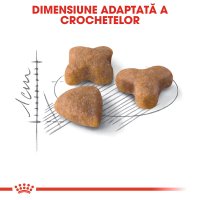 ROYAL CANIN Sensible Adult, hrană uscată pisici, digestie optimă, 10kg - 5