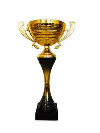 Cupa MS167 - King 64 - 1