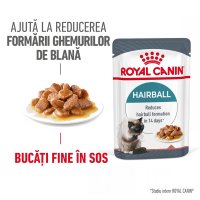 Royal Canin Hairball Care Adult hrana umeda pisica, limitarea ghemurilor de blana (in sos), 85 g - 1