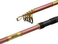 Lanseta Delphin Queen Tele 300cm, 50g - 2