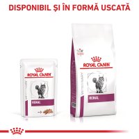 ROYAL CANIN VD Renal Loaf - Plicuri cu hrană umedă pentru pisici, dietă veterinară, 85g x 12 bucati - 8