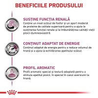 ROYAL CANIN VD Renal Loaf - Plicuri cu hrană umedă pentru pisici, dietă veterinară, 85g x 12 bucati - 4