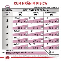 ROYAL CANIN VD Renal Loaf - Plicuri cu hrană umedă pentru pisici, dietă veterinară, 85g x 12 bucati - 6