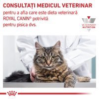ROYAL CANIN VD Renal Loaf - Plicuri cu hrană umedă pentru pisici, dietă veterinară, 85g x 12 bucati - 7