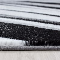 Covor Parma Negru V1 120x170 cm - 3