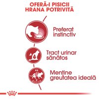 ROYAL CANIN Instinctive Adult, hrană umedă pisici, (în sos), 85g - 3