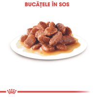 ROYAL CANIN Instinctive Adult, hrană umedă pisici, (în sos), 85g - 4