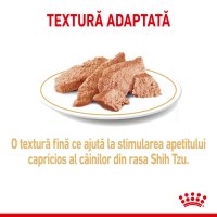 ROYAL CANIN Shih Tzu Adult hrană umedă câini (pate), 85g - 5