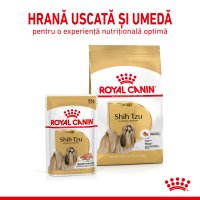 ROYAL CANIN Shih Tzu Adult hrană umedă câini (pate), 85g - 8