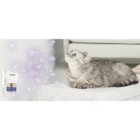 FELIWAY Optimum Diffuser și Rezervă, feromoni, sistem nervos & calmante pisici, 1buc + 48ml - 4