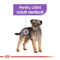 ROYAL CANIN Mini Sterilised Adult - Hrană Uscată pentru Câini Sterilizați, 1kg - 4